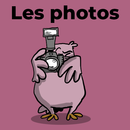 Lien vers la page « Les photos »